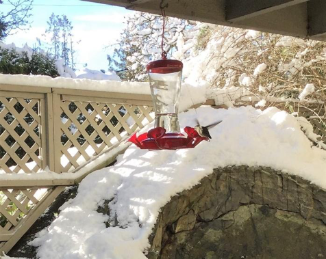 Image of a hovering hummingbird feeding from a red hummingbird feeder on a slightly cloudy day with a snow-covered rock and fence line as a backdrop.