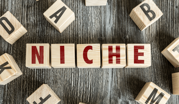 Finding Your Niche: What to Become in 2021