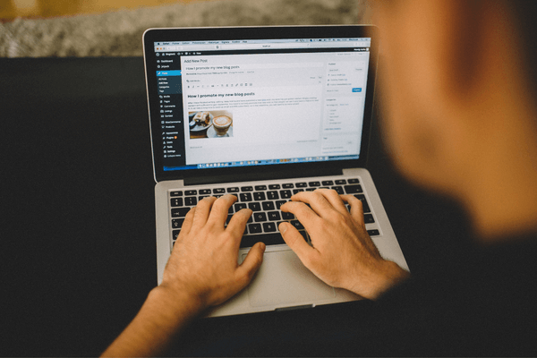 The Best WordPress Themes for Freelancers in 2022
